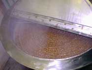 Boiling Kettle